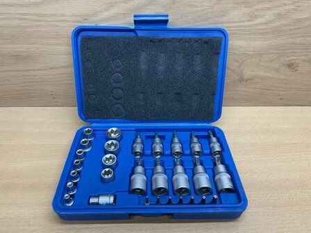 Torx bits en doppenset WorkPlus 29 dlg.