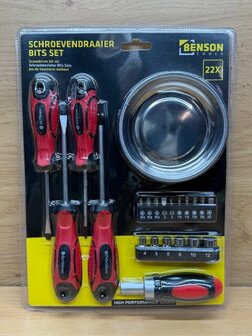 Schroevendraaierset met magneetschaal 22 dlg.