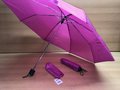 Paraplu-mini-rose-opvouwbaar